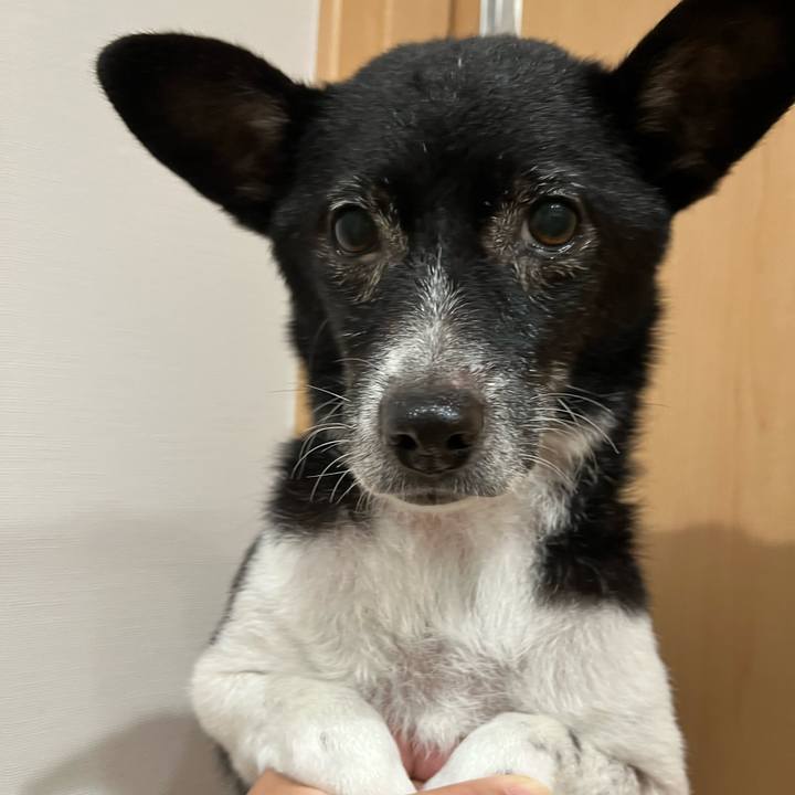 A98550fa 8acf 4c13 99a7 ffadffc23785 1701344247021