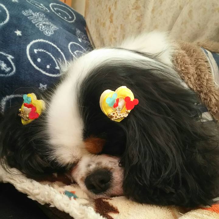 A985528d 8050 4269 babe 07957ab21a5f 1518330915184