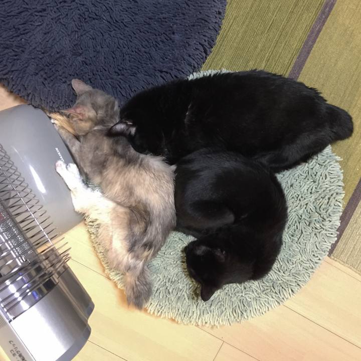 A985662f 42d4 4ca1 8409 770ac0667a18 1553345118556