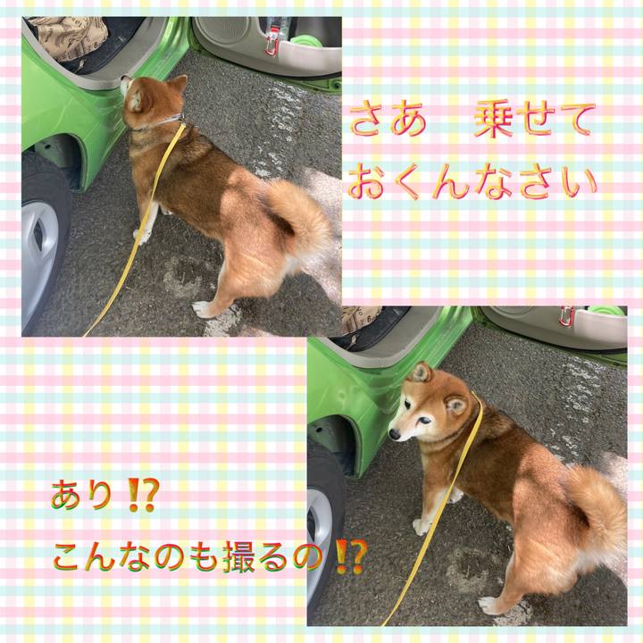 A98594cb d039 4b1c b622 be9d067c710a 1650515109498