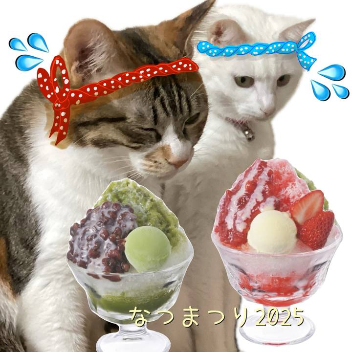 A985a725 b99f 4248 b25e cbb9237e86d1 1756606146746