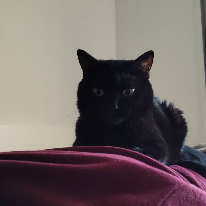 A985dd4d b2e1 4243 84fe c3896d853492 1764486859579