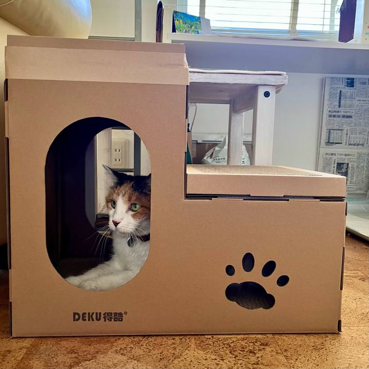 A985f588 51e7 4396 bcd1 05257470f765 1692428865423