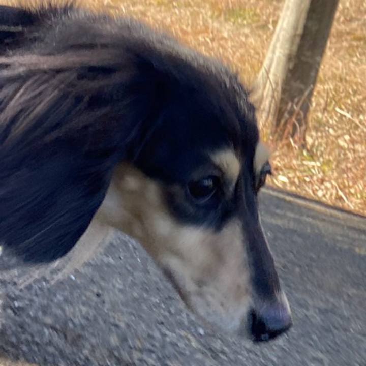 A986082e 7980 4123 8a76 40da3c19669f 1769838984375