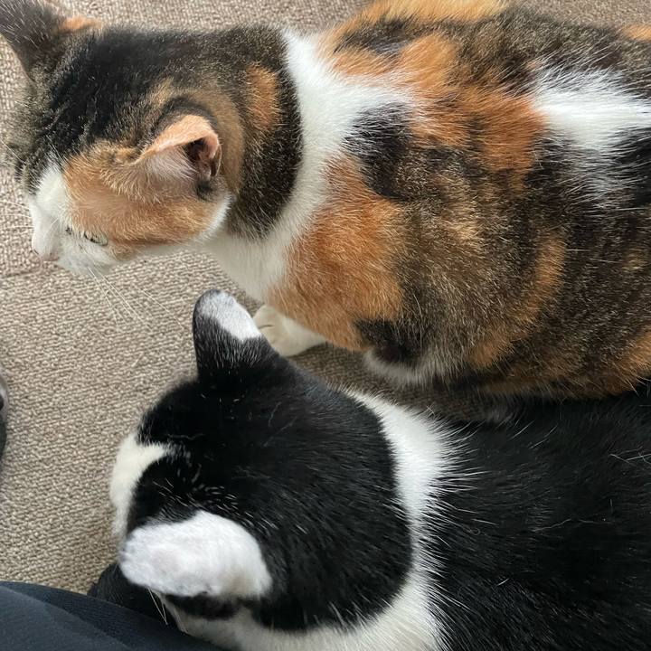 A9865c82 4c34 48e7 b95a 67d6784649d8 1721305841164