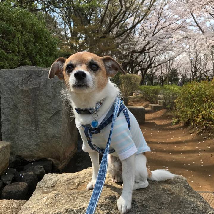 A9865dbb 1a72 49f6 af85 3e9145b977d3 1554450309024