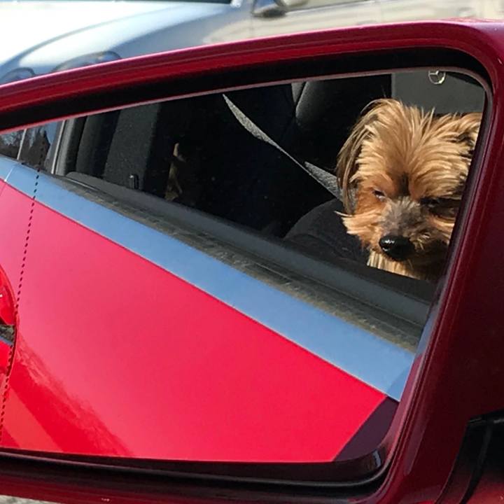 A9865f17 9d6d 4363 8551 ca169f4d7190 1512381576566