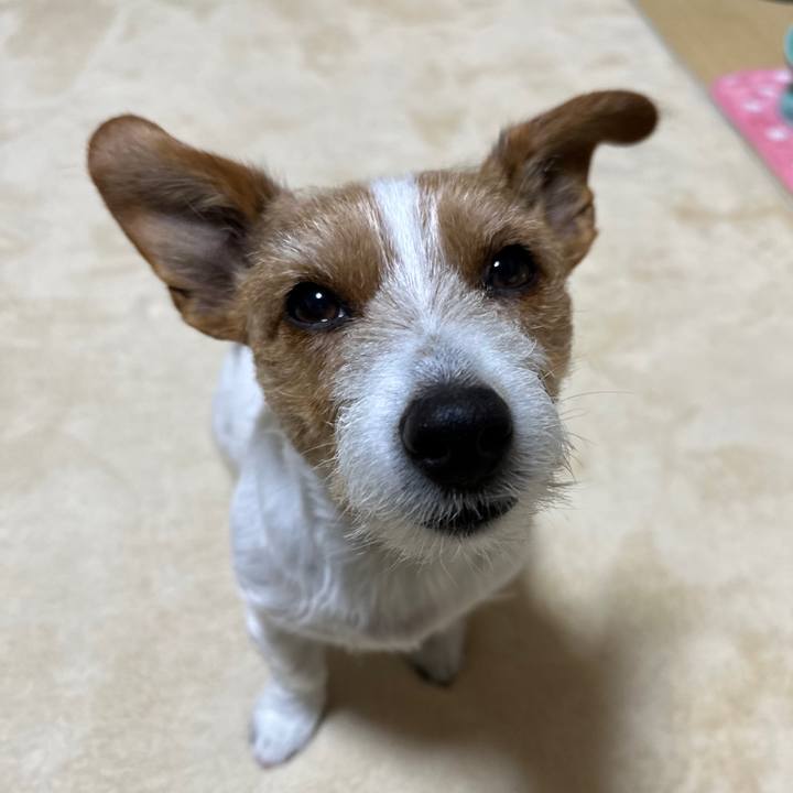 A98670e6 ece6 41af 8902 cd3e79e2bb76 1769120678809