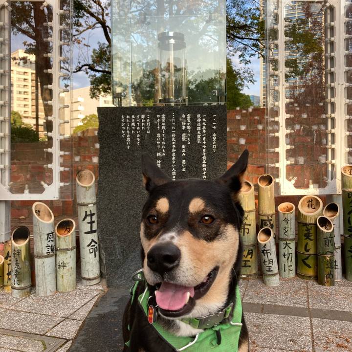 A9867cc5 6f75 4572 af3c 1afee38db4df 1607822960306