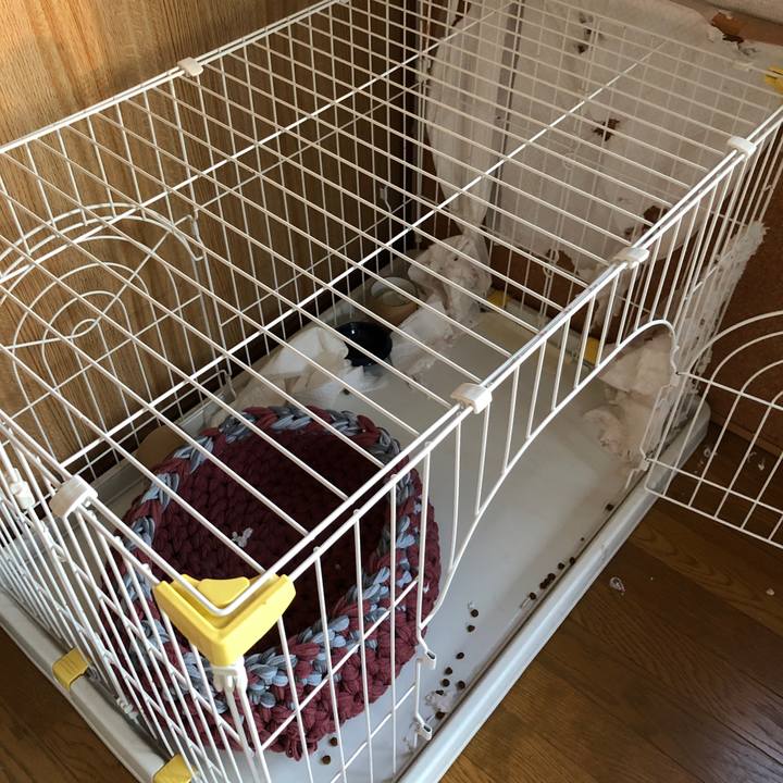 A9867fe0 085b 4ee3 a46e d2da3ce01a5c 1659211639482