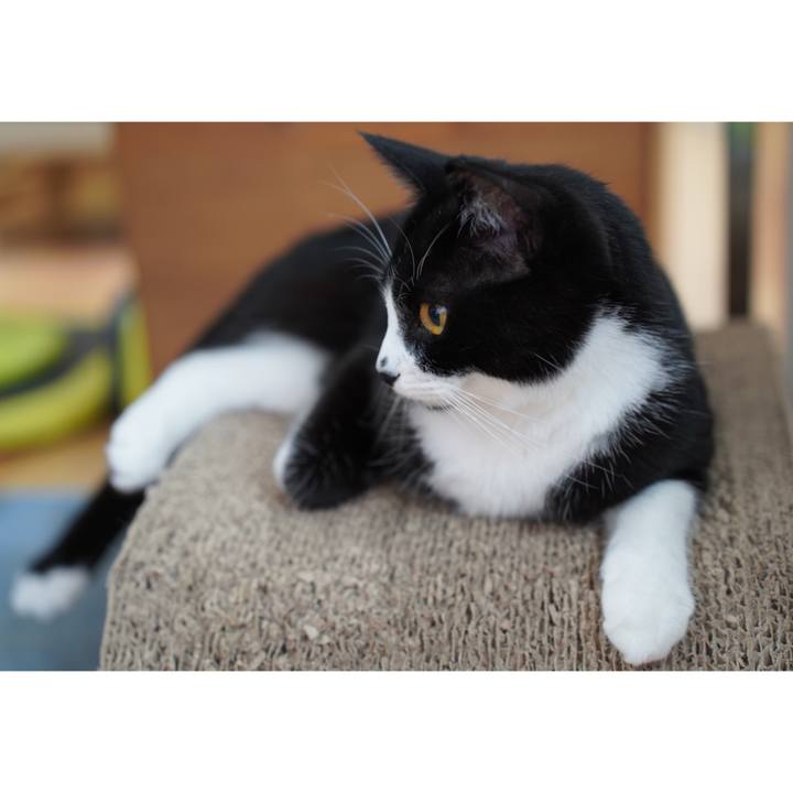 A9869b58 2bc4 464c 8e2a 8013f8c8edc7 1656818283813