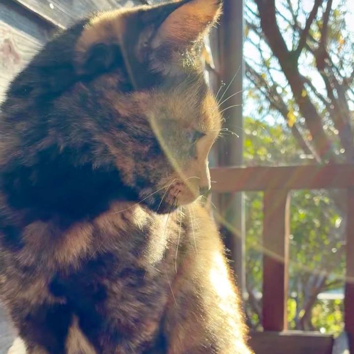 A986acd7 da6b 4d75 9349 d4d2d4fda4df 1763776522080