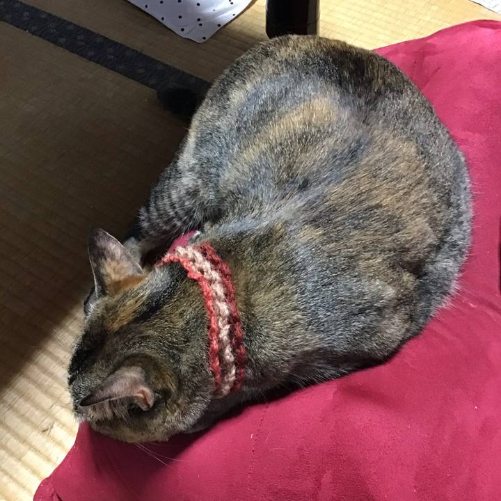 A986b493 bafd 4754 b9b6 7b99795af7aa 1630731762485