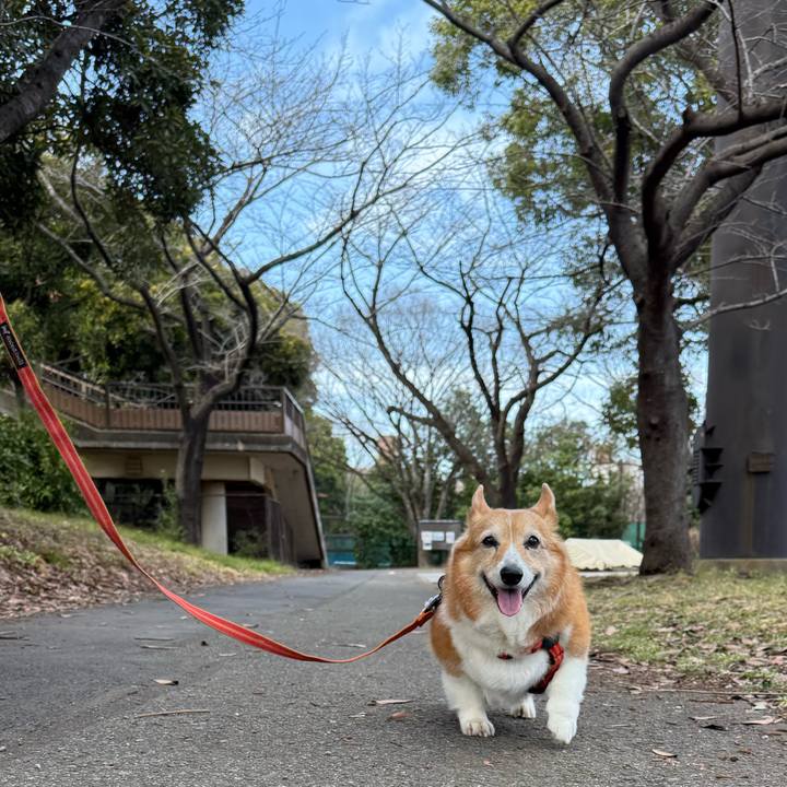 A9871915 3201 4ba6 88b1 01709515a67b 1772866612678