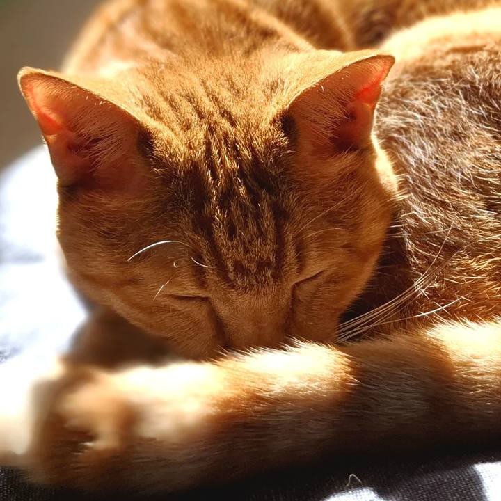 A98733c8 6b94 4b2e 9603 45142a885e79 1731152974343