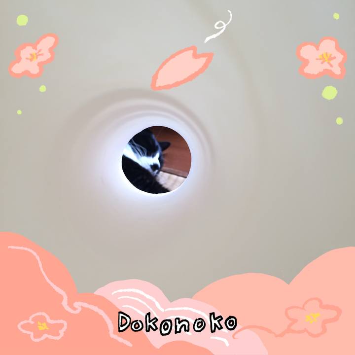 A98759ff fedb 4f2c 8dea 8dde0bff0d9f 1775826450185