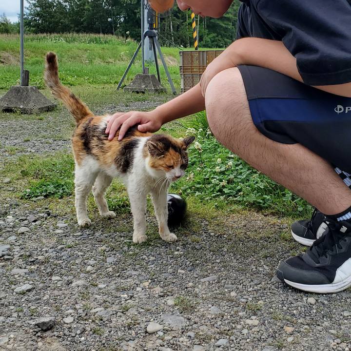 A987acd5 185e 46ce ad98 db8cc981826a 1724587712661