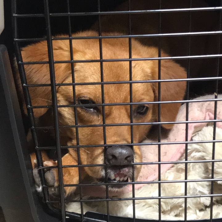 A987babf 4aeb 4feb b582 0635f13b2185 1560080696699