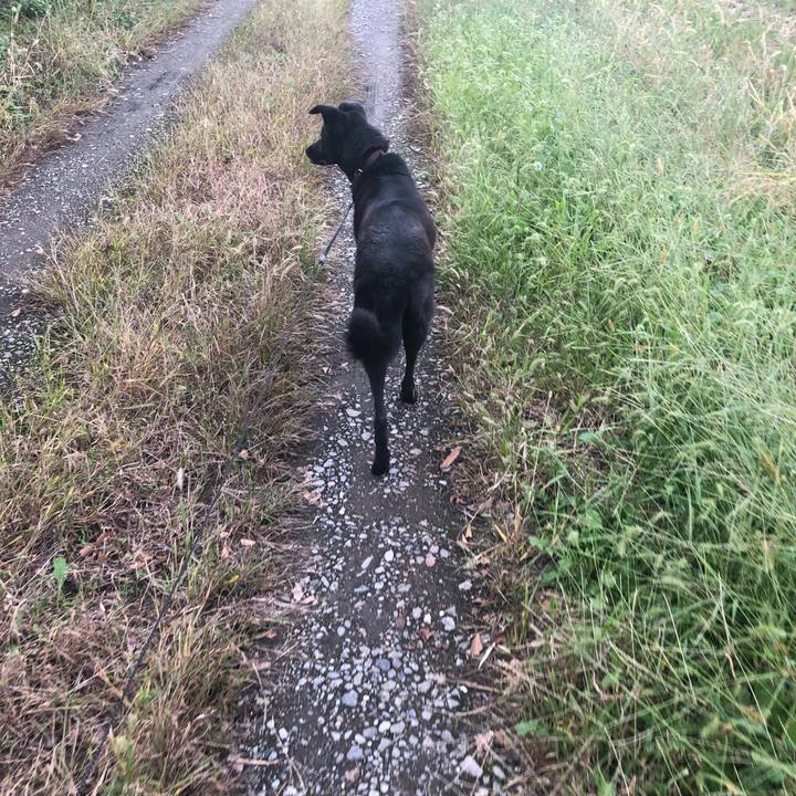 A987ec29 f156 45f5 b530 d431efe3979c 1571555785067