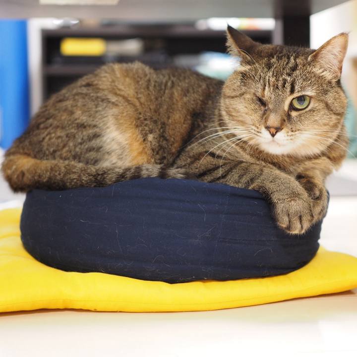 A9880007 a4cd 4b00 8c7c 205fa75b5d74 1535449434449