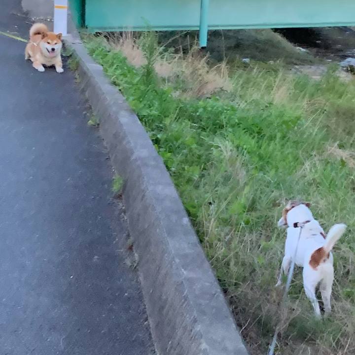 A9880661 fdfa 4ab8 bee9 ca2f7969c764 1626875326454