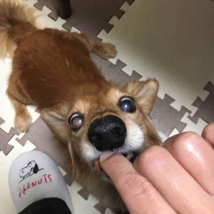 A9886b0d d7c8 4de3 b202 32a7863efb27 1606308999742