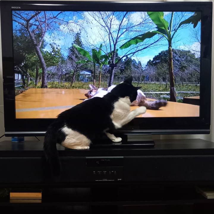 A988805d e436 41ba 9a4a 00baa0e98da3 1649936275777