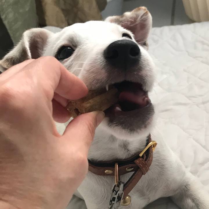 A9888db0 9667 44eb 97e6 d39f2fd1732f 1537570818854