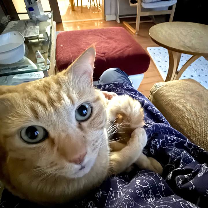 A98893cb 1e27 41d5 9430 1810a7cb675e 1772224877983