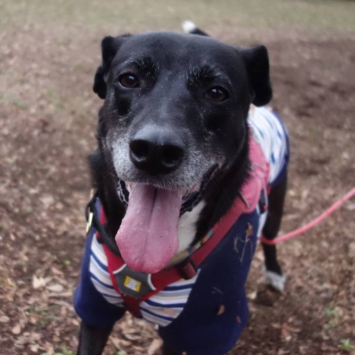 A9889e07 41df 40d7 b9ea 42fc21162948 1702597735497