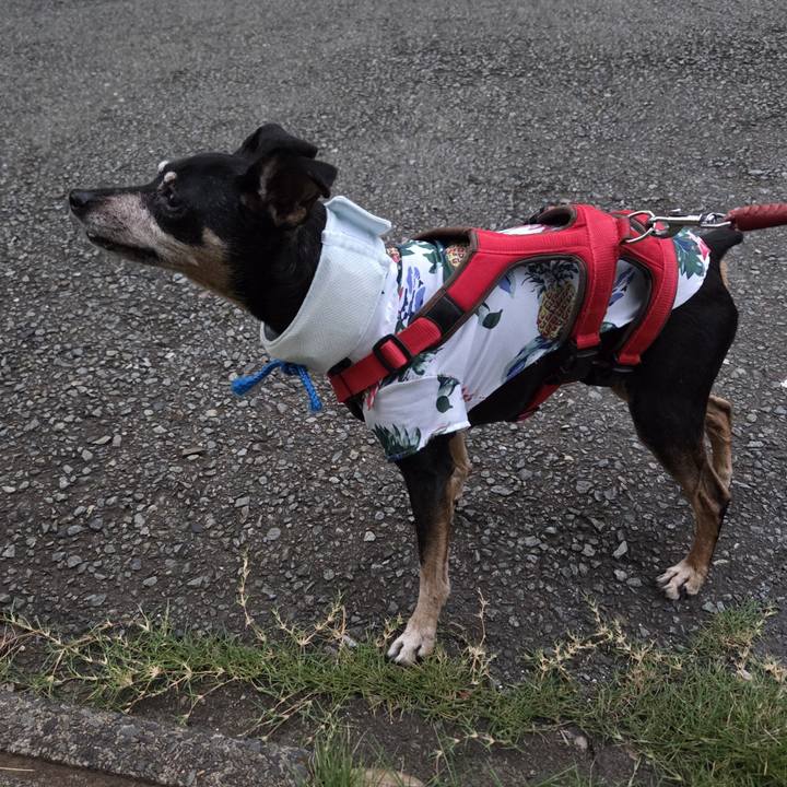 A988a738 a274 48e0 b4d6 29f1343cedde 1756067431101