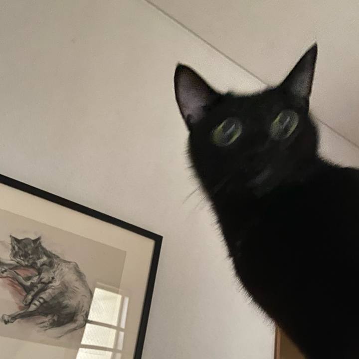 A988aafb 96c3 4d77 bb69 e18de9b32980 1665143790587