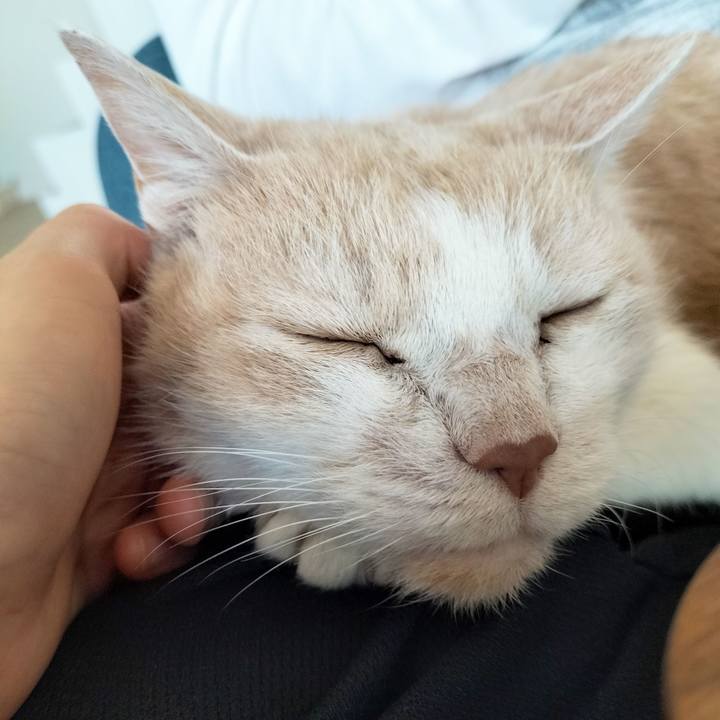 A988fcc7 241c 44c5 ab43 72a489aa4a30 1714262828704