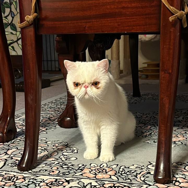 A988fe91 1cbb 49a9 9066 b9599a034ce8 1694511199614