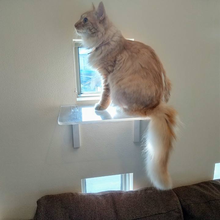 A988fef1 ec93 4841 8e24 3024adb7339f 1626742165530