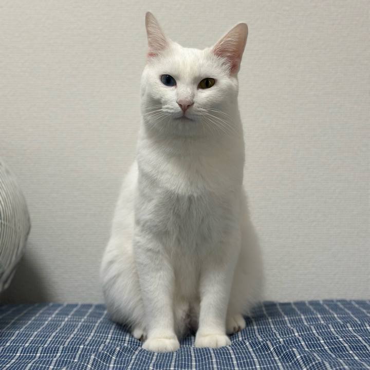 A98900ca 3da6 46e9 b995 687c3f9f89c6 1763351247404