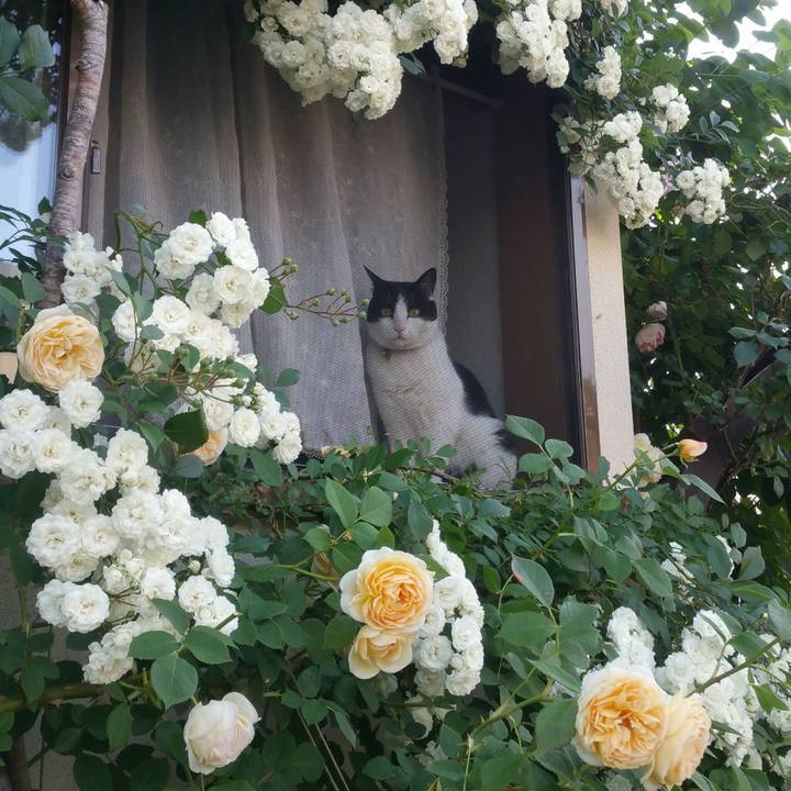 A9891e77 b0e4 4da2 aa22 888c78932cc1 1559635603321