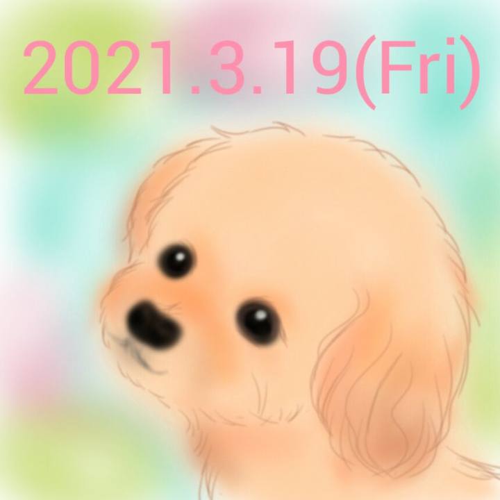 A9892c6a ee29 4c31 b0c5 10916be6ab74 1616161984313