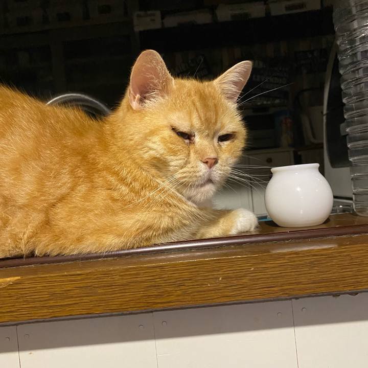 A9893a9c 6714 4ea1 b33b c3491c040e54 1661118011271