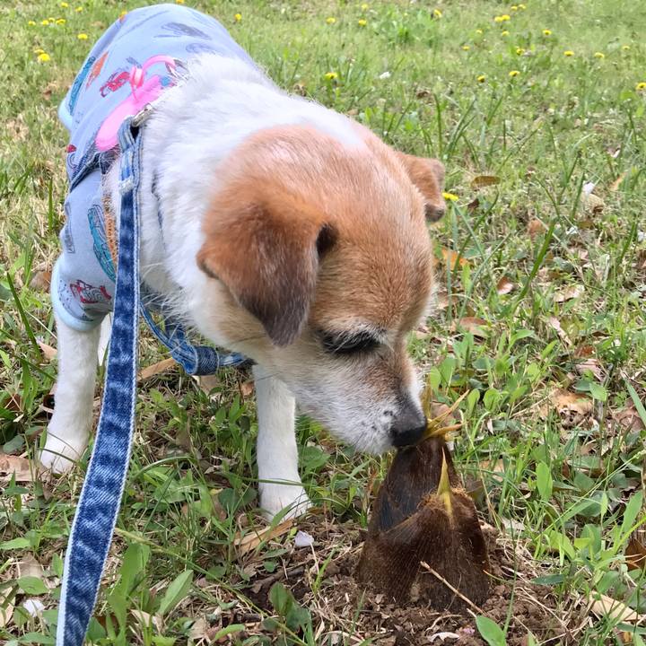 A989832c 4f48 470e 95b1 22f2e284f089 1650098114488