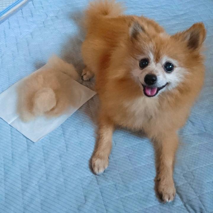 A989d29e 5121 4449 852f 3f342876e83c 1591742911553