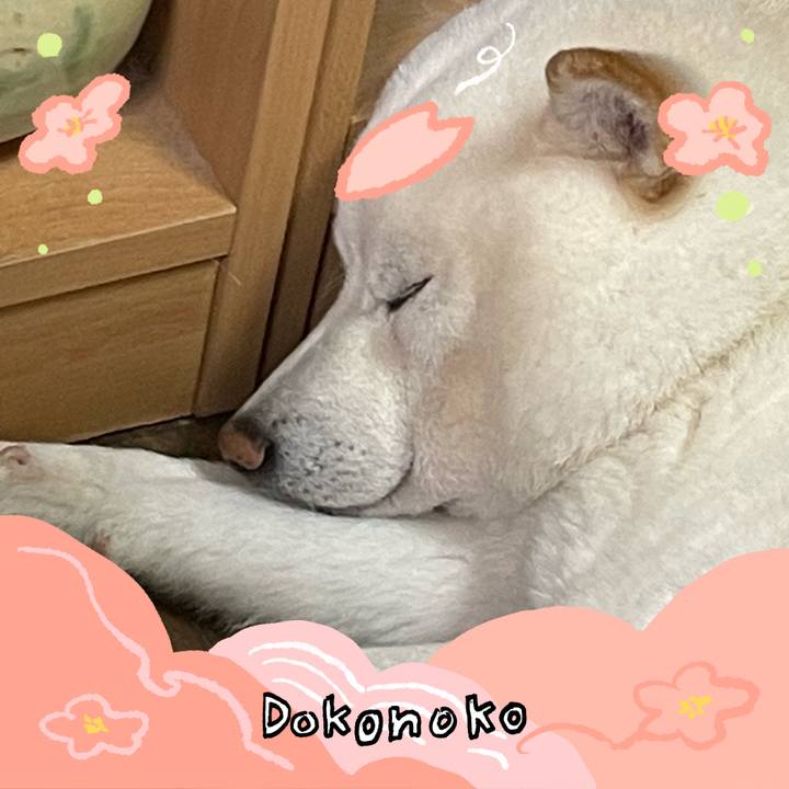 A989d83d fb1e 41f4 a3aa 75959d5b1695 1775356636533