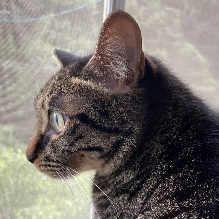 A989feb7 6845 4931 adc4 874093937bad 1658574719201