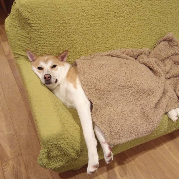 A98a3e73 1ffe 45fb af25 acc5972830be 1511359163810