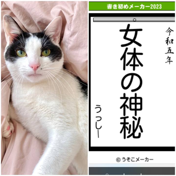 A98a4258 d809 463f 9a67 119735e5914c 1672643567550