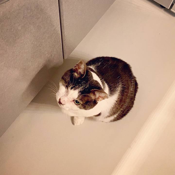 A98a44ee 4b35 43fd 9bf2 465c66ef948e 1587399370398