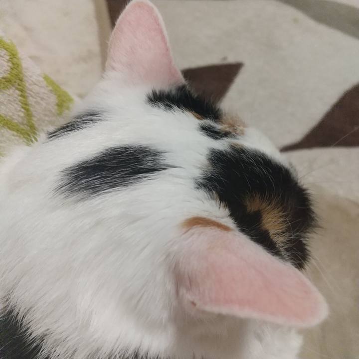 A98a4e7e 8fb7 4da5 838a c6035555b708 1607692108676