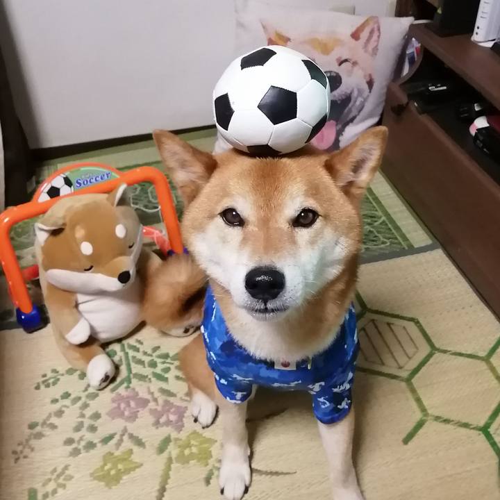 A98aae84 9939 41ff b906 b63cb5f947f2 1623066115335