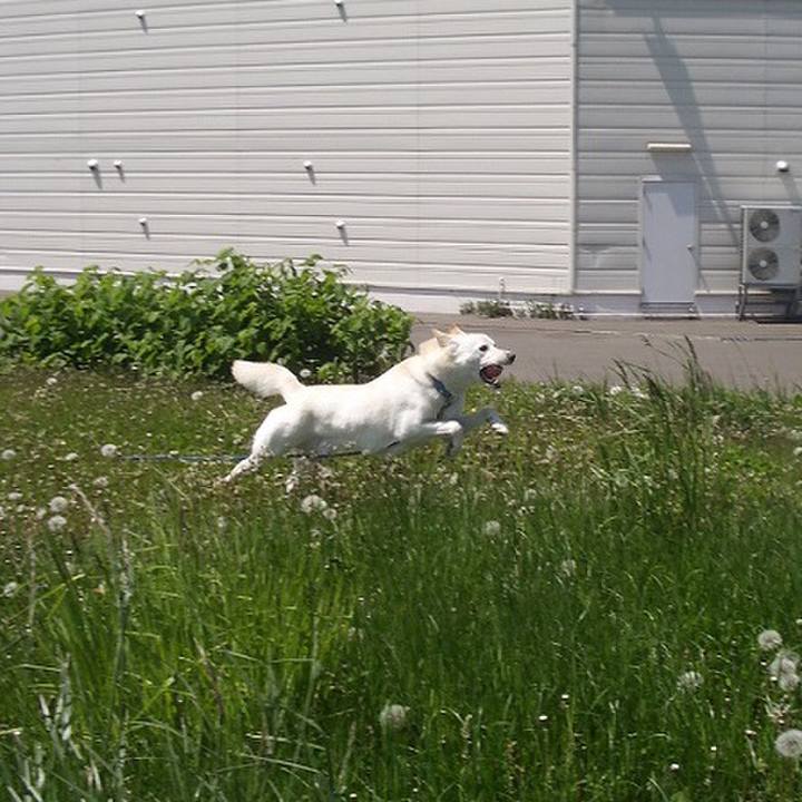 A98ae1a7 c596 4163 81a0 b354963db560 1542283316249