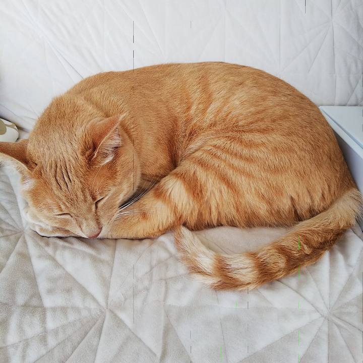 A98ae8ae af21 4c8a 8175 1cc141e0b391 1597617162284